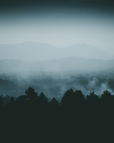 夜晚的树和山